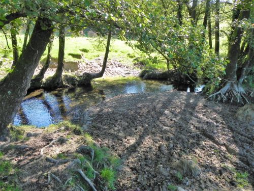 17.-Downstream-from-Gardeners-Bridge-2