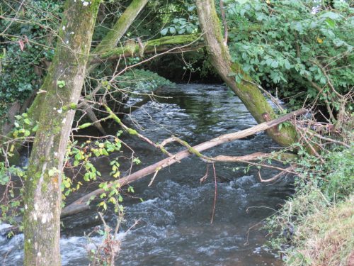 17.-Downstream-from-Greenham-Weir