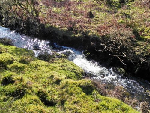 17.-Downstream-from-Hoar-Oak-Cottage-2