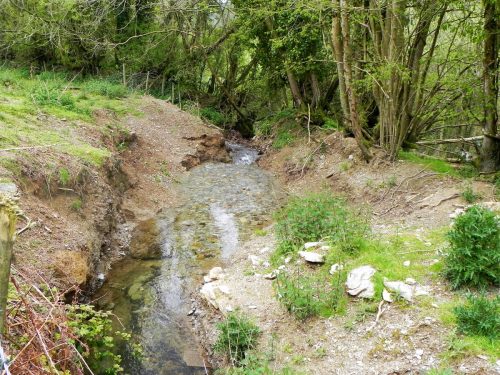 17.-Downstream-from-Lower-Court-Farm-5