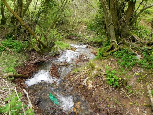 17.-Downstream-from-Lower-Court-Farm-8
