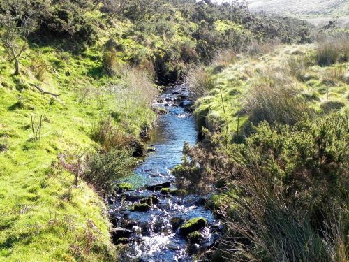 17.-Downstream-from-Madacombe-Bridge-2