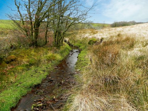 17.-Early-stream-approx-600-metres-from-source-2
