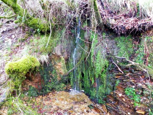 17.-Early-stream-from-Source-B-2