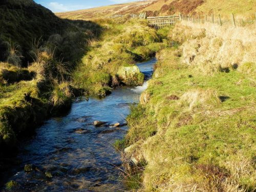 17.-Flowing-below-Hoccombe-Hill-2