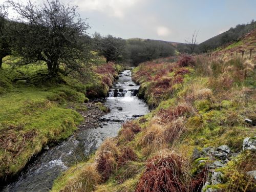 17.-Flowing-below-Mill-Hill-2