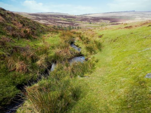 17.-Flowing-down-Ember-Combe-2