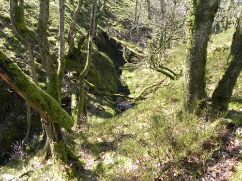 17.-Flowing-down-Hawkcombe