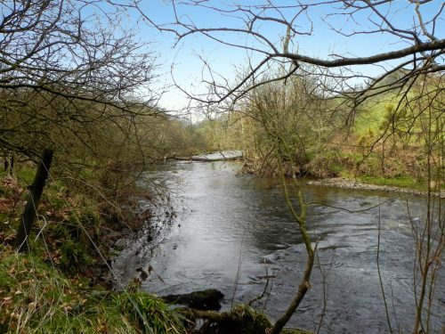 17.-Flowing-past-Hillway-Wood-2