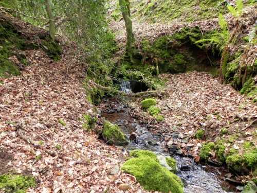 17.-Flowing-through-Luccombe-Plantation-2