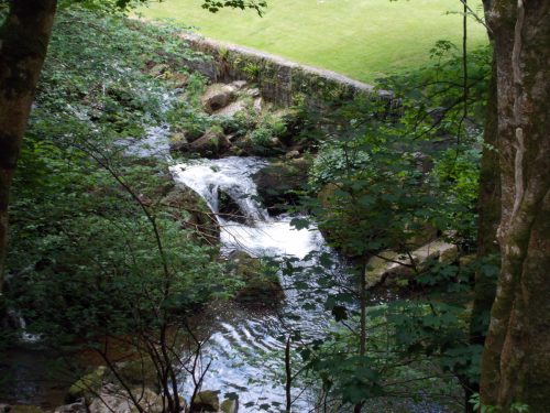 17.-Flowing-through-Lyn-Wood-1