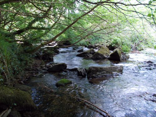 17.-Flowing-through-Lyn-Wood-2