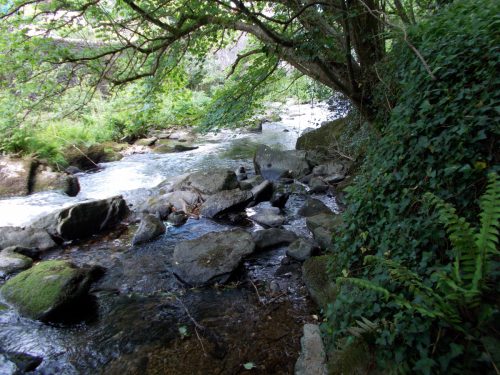 17.-Flowing-through-Lyn-Wood-3
