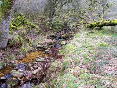 17.-Flowing-through-Mansley-Combe-2