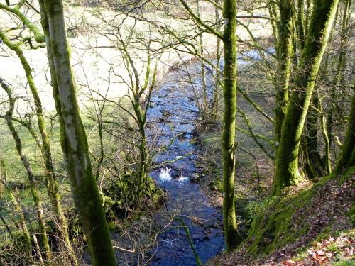 17.-Flowing-through-Shortacombe-Wood-2