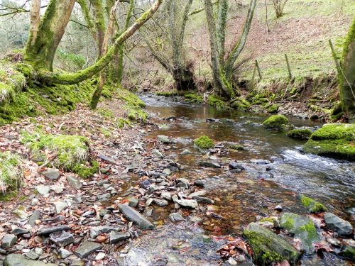 17.-Flowing-through-Tarr-Ball-2