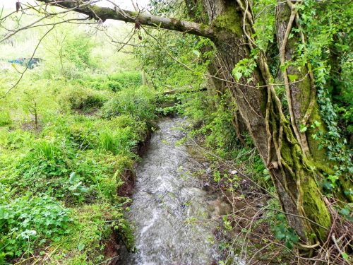 17.-Looking-downstream-from-ROW-footbridge-2904-2