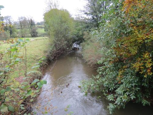 17.-Looking-downstream-from-Wellisford-Bridge