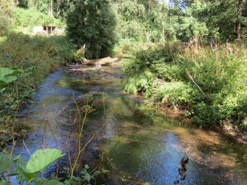17.-Looking-downstream-from-West-Deane-Way-Footbridge-A