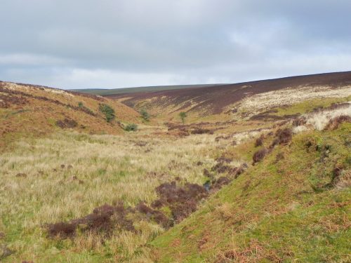 17.-Looking-downstream-towards-Colley-Water-2