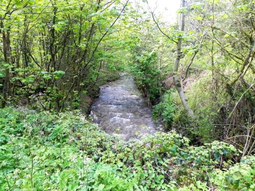 17.-Looking-upstream-from-Druids-Combe-Road-Bridge-2