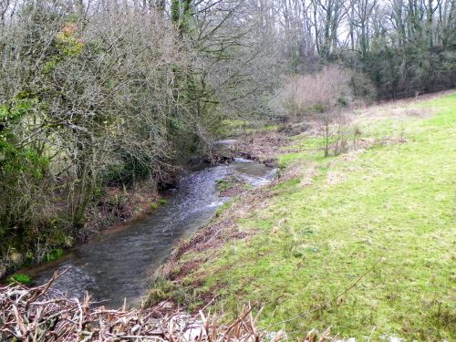 17.-Looking-upstream-from-Frog-Pit-Moor-Bridge-2