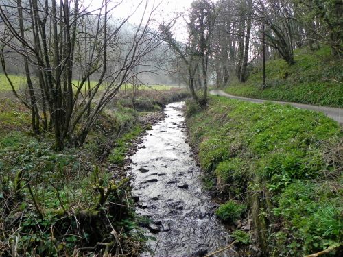 17.-Looking-upstream-from-Steart-Bridge-2