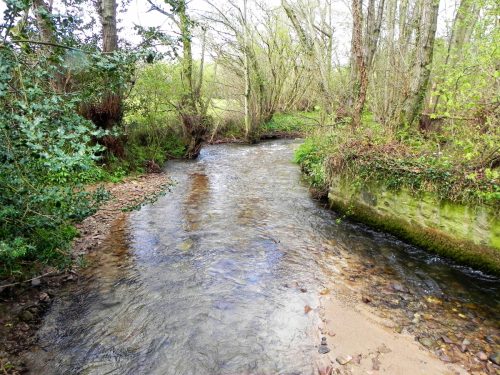 17.-Looking-upstream-from-Timberscombe-ROW-Bridge-3184-2
