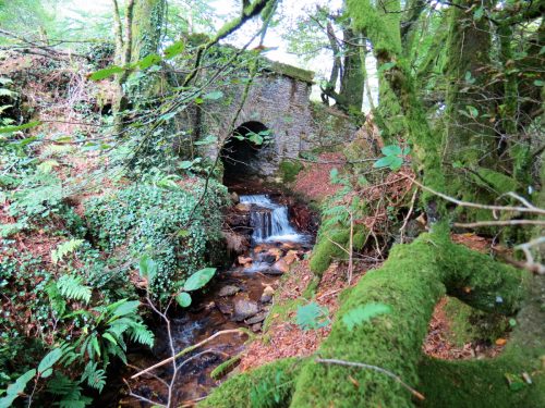17.-Looking-upstream-to-Lower-Beverton-Bridge-2