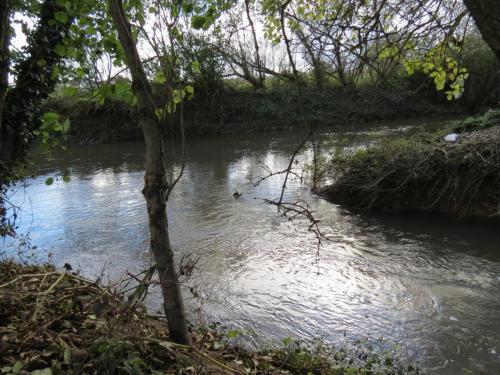 17.-Mill-stream-rejoins-River-Tone