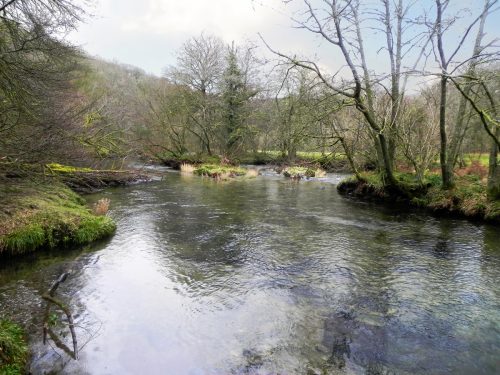 17.-Near-Pitt-Wood-2