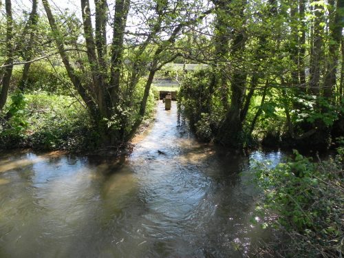 17.-Outlet-from-Torr-Fishery