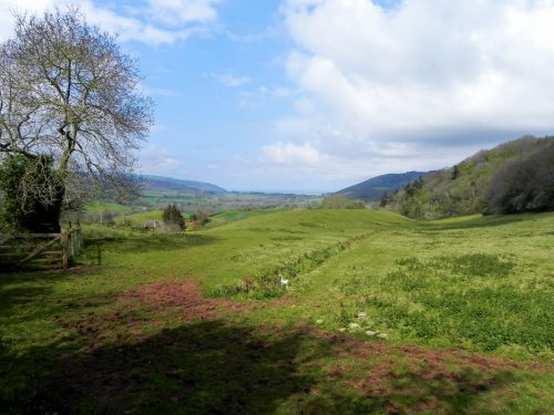 17.-Tivington-Knowle-headstream-2