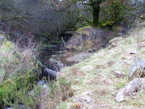 17.-Tributary-stream-joins-Pulham-River-2