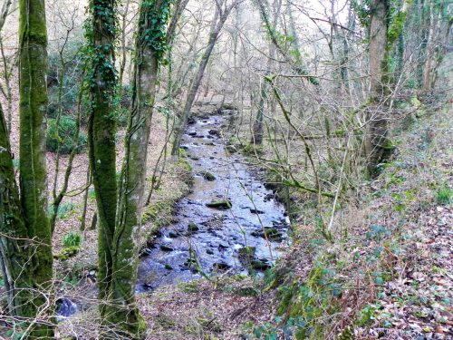 17.-Upstream-from-Dippers-Lodge-2