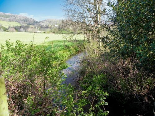 17.-Upstream-from-Honicote-House-Bridge-2