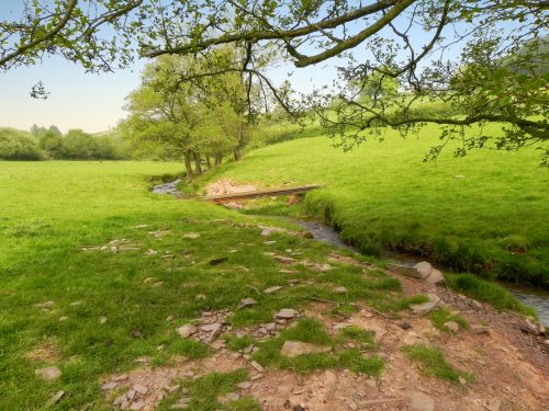 17.-Upstream-from-Luxborough-Bridge-4