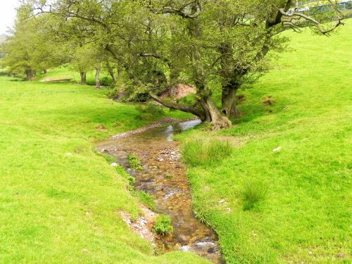 17.-Upstream-from-Luxborough-Bridge-6