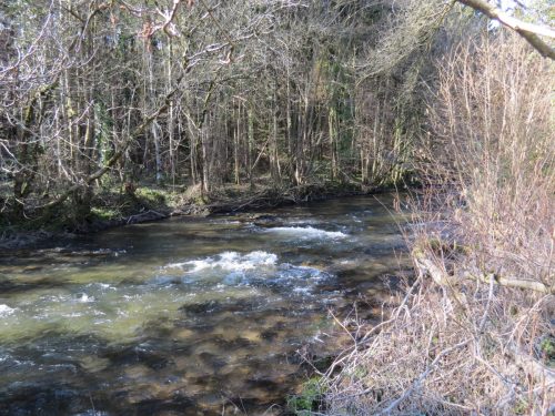 17.-Upstream-from-Perry-Bridge-1