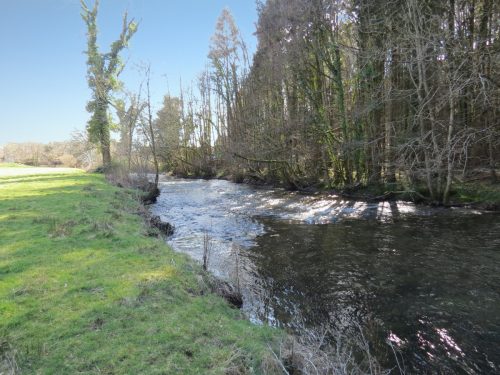 17.-Upstream-from-Perry-Bridge-3