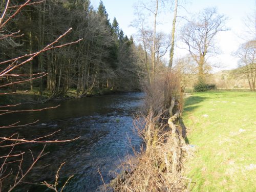 17.-Upstream-from-Perry-Bridge-4