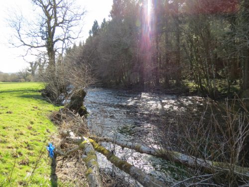 17.-Upstream-from-Perry-Bridge-7