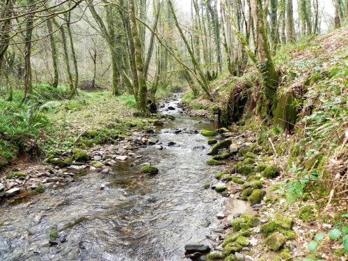 17.-Upstream-from-Snowdrop-Valley-Bridge-2