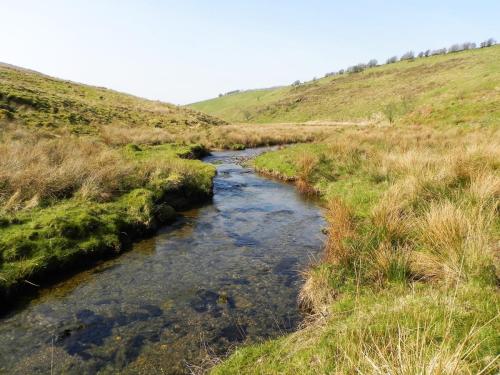 17.-Upstream-from-Squallacombe-2