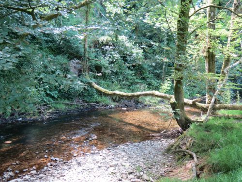 17.-Upstream-from-Vicarage-Bridge-1