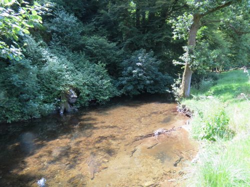 17.-Upstream-from-Vicarage-Bridge-2
