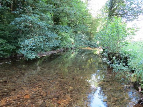 17.-Upstream-from-Vicarage-Bridge-3