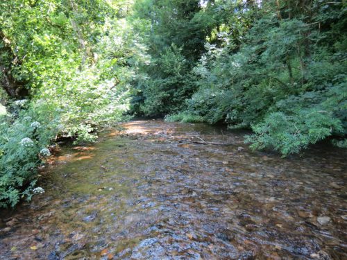 17.-Upstream-from-Vicarage-Bridge-4