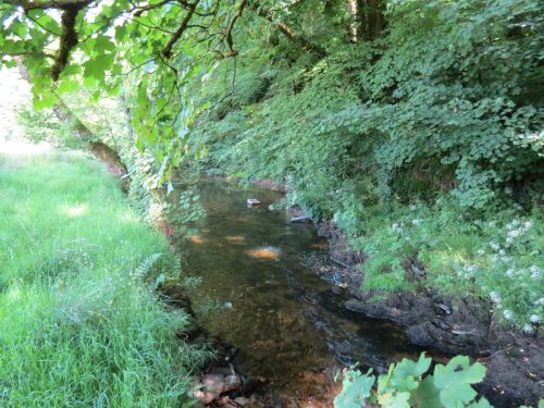 17.-Upstream-from-Vicarage-Bridge-5