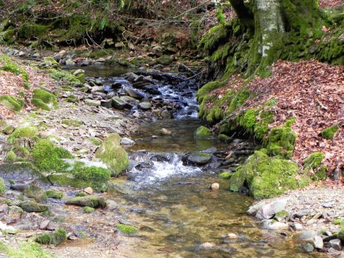 17.-Waters-join-from-Langham-2